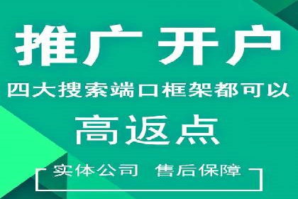 百度竞价排名：企业营销新利器案例分析